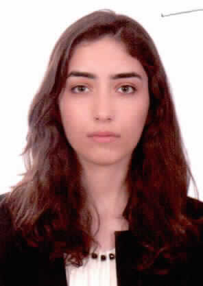 صورة لين سامر (محمد فتحي) عمرو